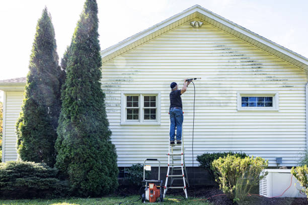 Professional Pressure Washing Services in East Norwich, NY